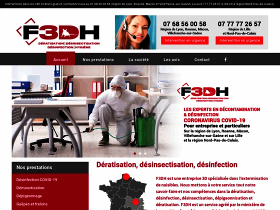 Extermination punaises de lit