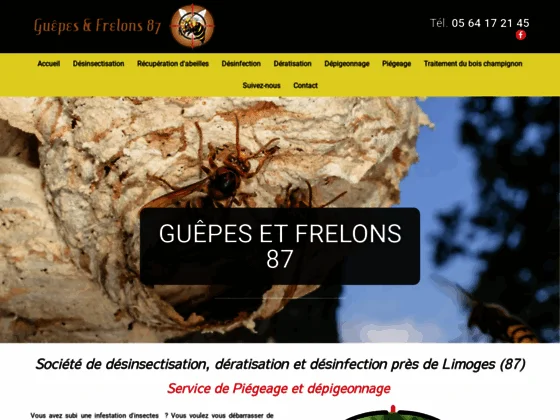 dératisation et Désinsectisation à Saint-Yrieix-la-Perche