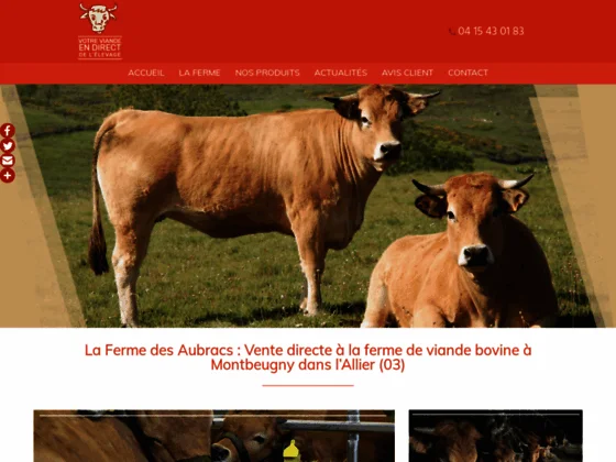 Ferme des Aubrac : élevage bovin & vente de viande bovine à Montbeugny - Allier (03)