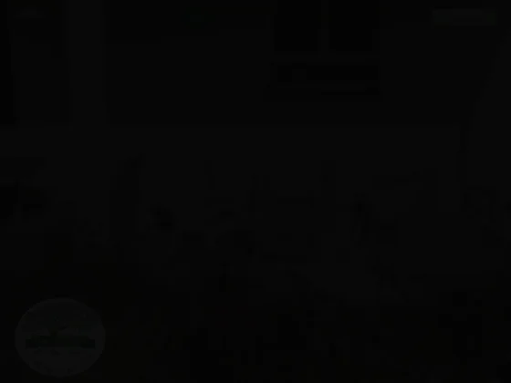 Les paysages de l'eau-delà