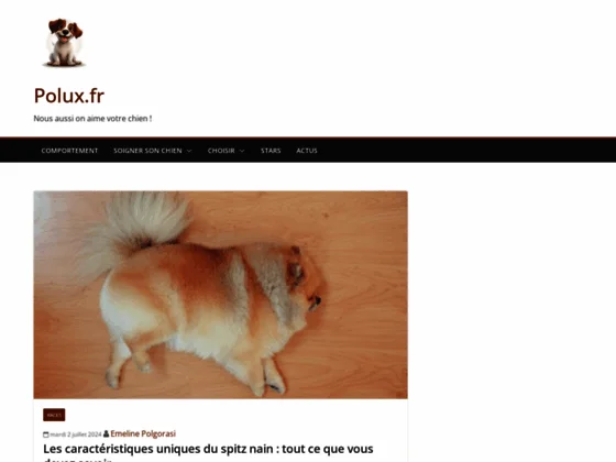 Un mag dédié à la santé et au bien-être des canins