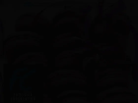 Florent charrier pâtissier-chocolatier