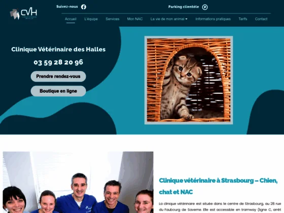 Vieillissement de votre chien à Strasbourg 