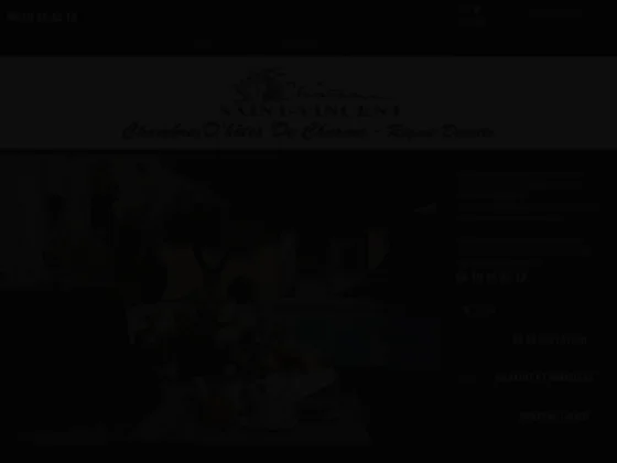 Château saint vincent