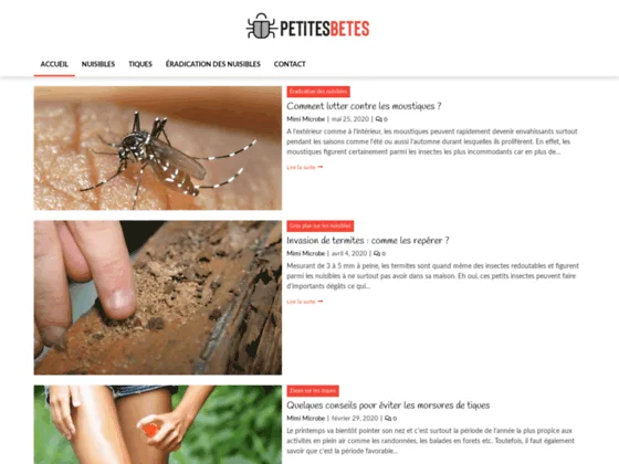 Petites bêtes
