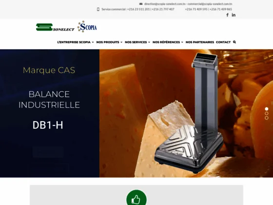 Balance analytique - Sonelect Scopia