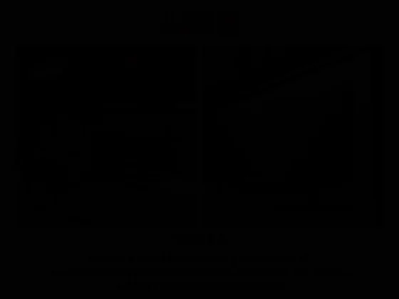 Barrière écluse de sécurité et accès sur citernes