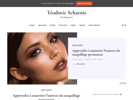 Téodoric Schaenis, weblog d'information générale pour toujours faire les bons choix