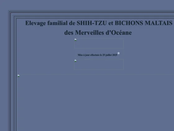 Des Merveilles d'Océane - Elevage familial de Shih-tzu et de Bichons Maltais