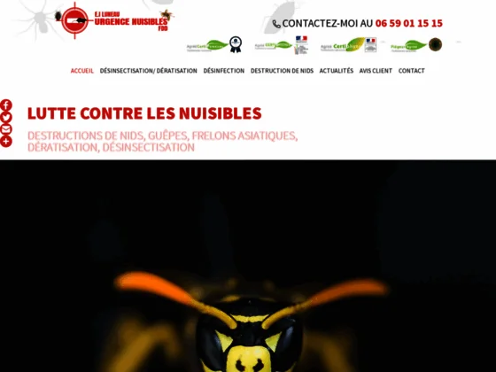 entreprise désinsectisation