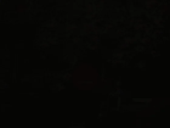 Francis Pillet Paysagiste