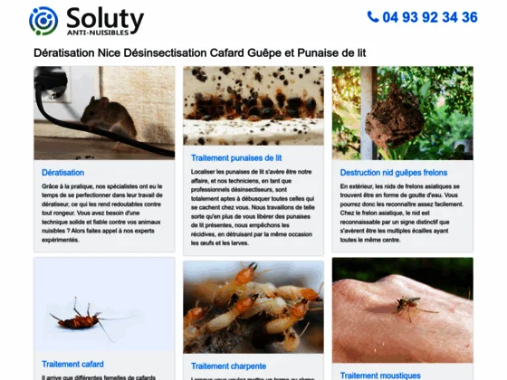 Dégraissage hotte nice