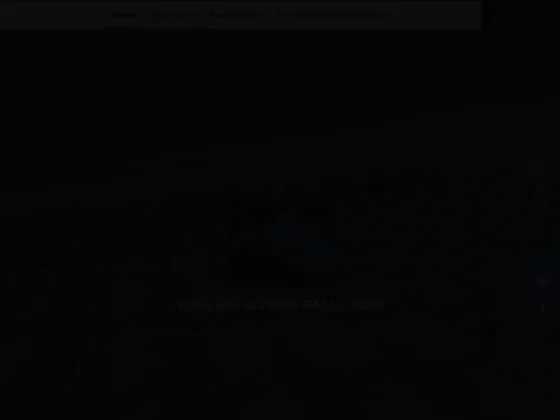 Entreprise Balestreri