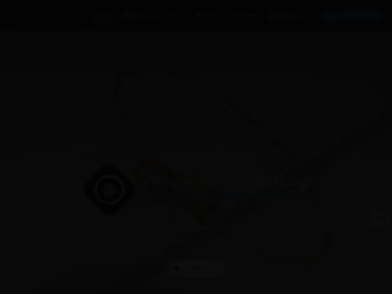 Yannick le merlus photographe