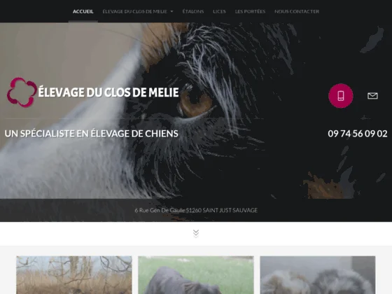 élevage du clos de melie