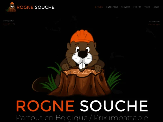 Rogne Souche - Destruction de souches d'arbres à Namur et en Wallonie