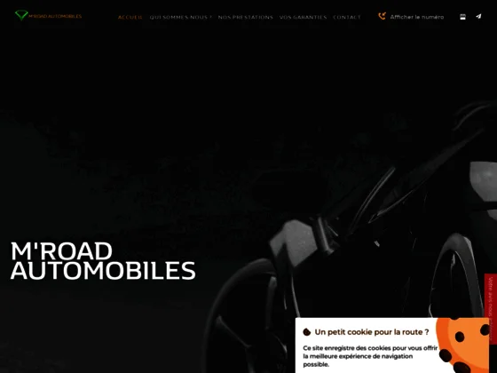 Mandataire auto saint priest