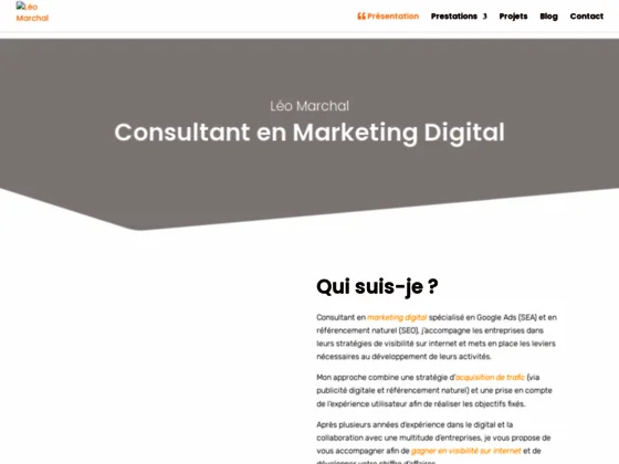 Les prestations de Leo Marchal, votre consultant en SEO