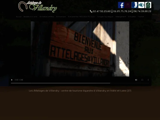 Attelages de Villandry : randonnée équestre & balade à cheval à Villandry près de Tours 