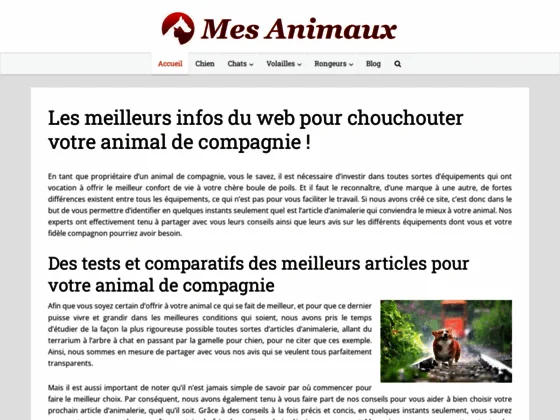 Tests et comparatifs d'équipements pour animal