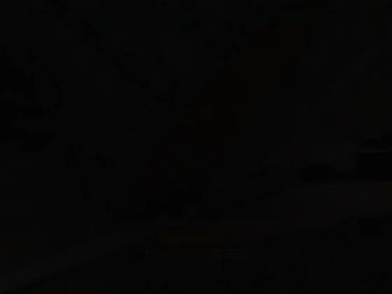 Travaux Forestiers COIATELLI 