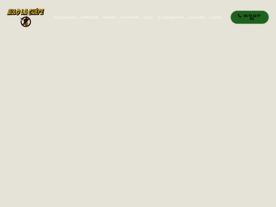 Allô la Guêpe - extermination de nids de guêpes et frelons à Rouen (76)