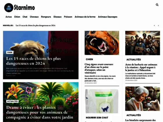 Choisir l’animal de compagnie convenable