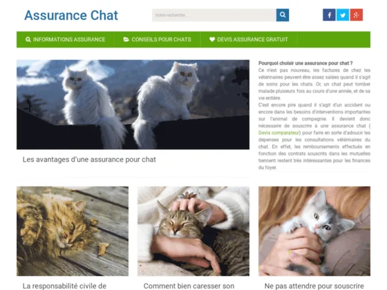 Conseils pour choisir son assurance chat