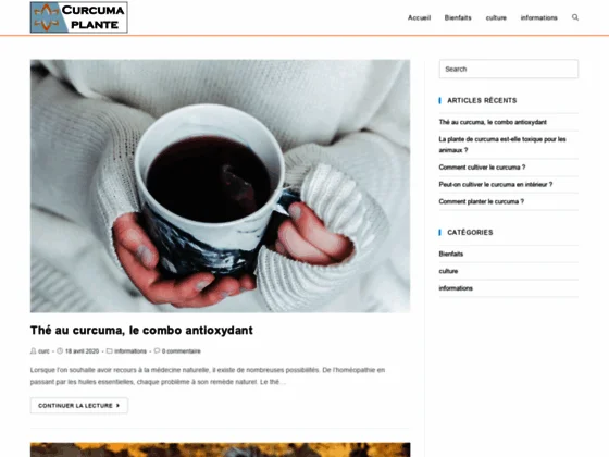 En savoir plus sur le curcuma