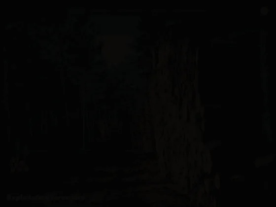 Exploitation Forestière de l'Ubaye