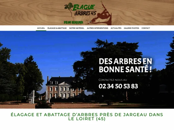 Elague Arbres 45 : élagueur grimpeur à Darvoy près de Jargeau et Châteauneuf-sur-Loire
