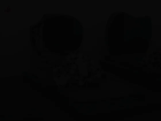 Pompes funèbres de Vitry