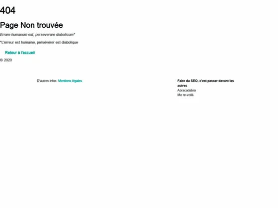 Consultant SEO à Lille