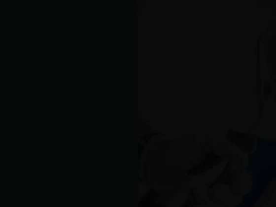 Dulger peinture plâtrerie