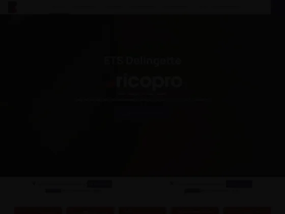 Brico pro ets delingette