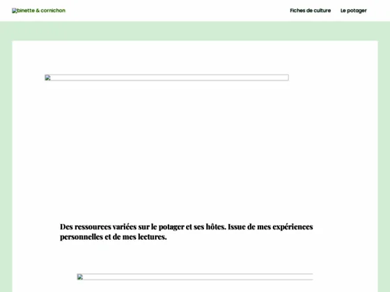 Tout sur le potager bio avec binette et cornichon