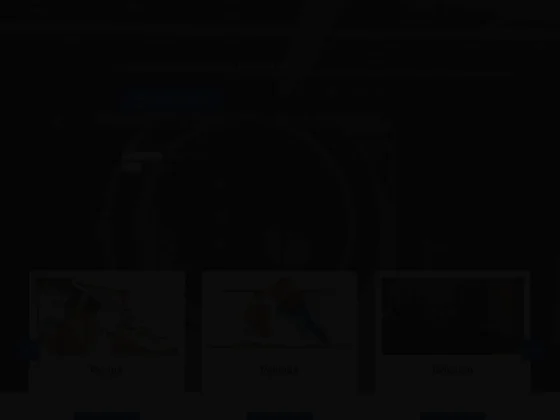 Alibert plaquiste peintre