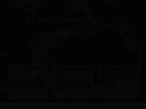 Le mediterraneen