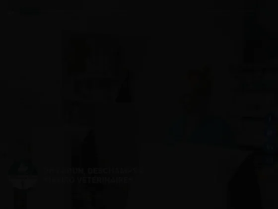 DRS Brun, Deschamps & Ribeiro Vétérinaires