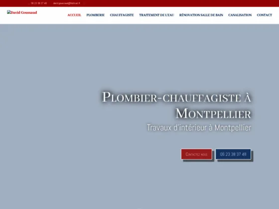 David Goussaud