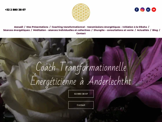 Aventure énergétique avec la pierre de shungite