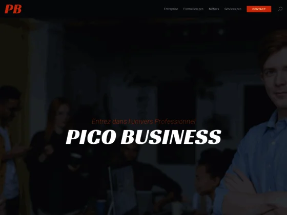 Pico Business