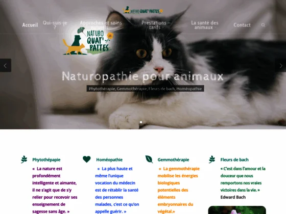 Soins naturels et énergétiques pour animaux (Var) - Fleurs de bach, Gemmothérapie