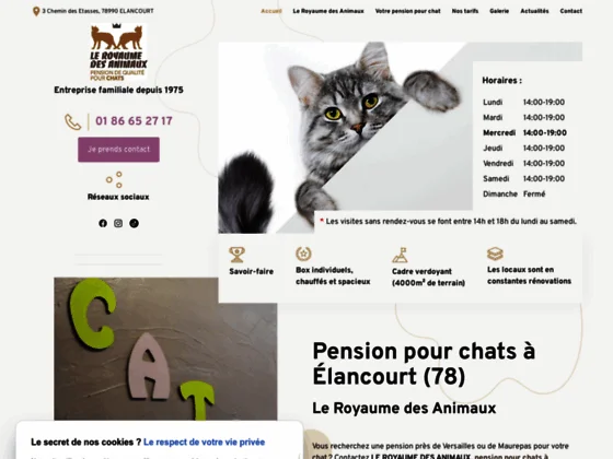 Bénéficiez d'un hébergement complet pour votre félin au sein de la pension Au Royaume des 