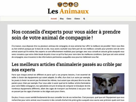 Trouvez les accessoires adéquats pour vos animaux