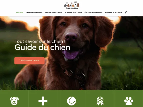 Tout apprendre sur le chien et mieux le comprendre 