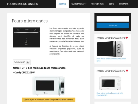 Pourquoi le four micro-onde est-il si efficace ?