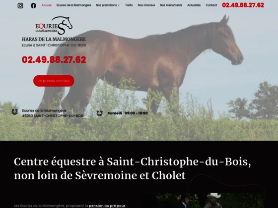 Initiez-vous à l'équitation au sein des Écuries de la Malmongère près de Cholet