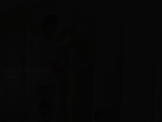 Maconnerie pinto daniel