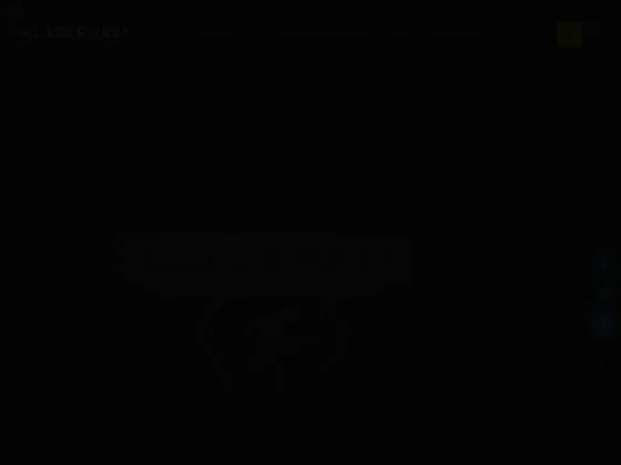 Laser Game Lasermaxx